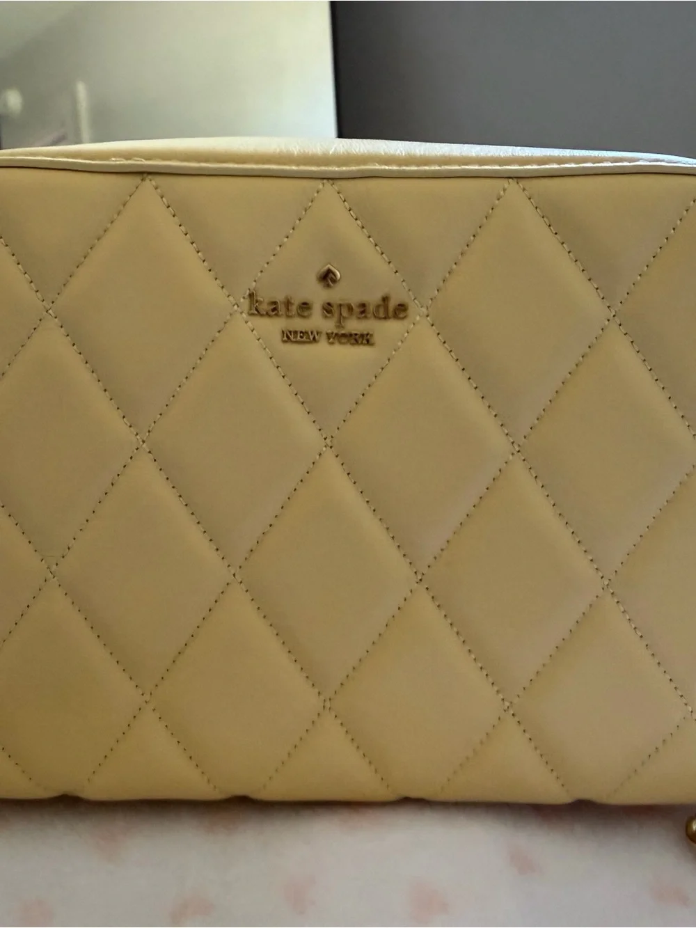 Kate Spade Carey Chain Camera Bag